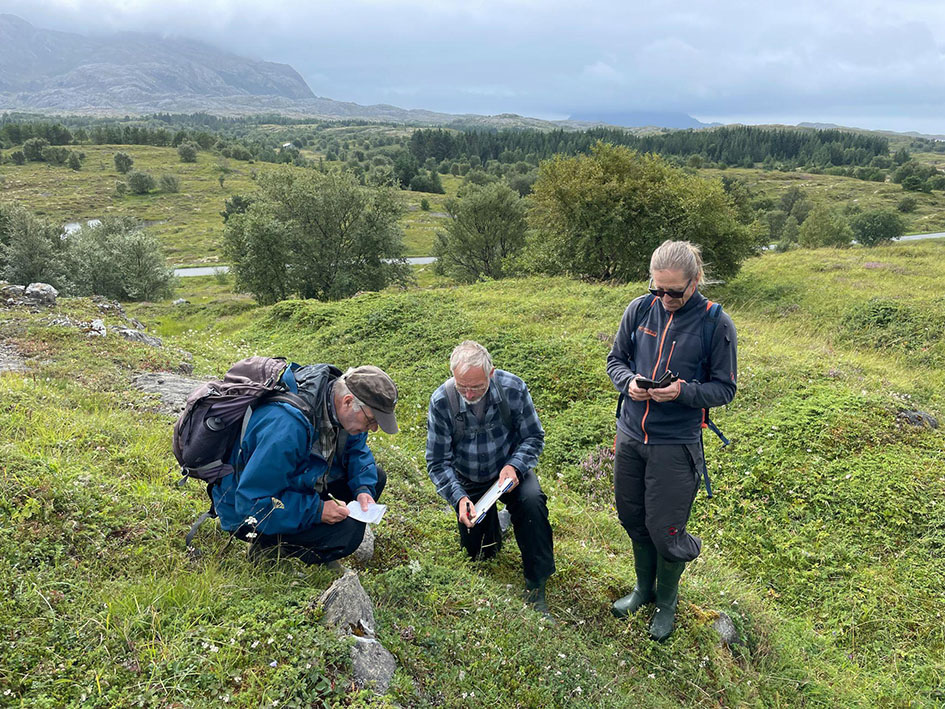 Feltbaserte kart over arter og naturtyper: likheter, forskjeller og kart vi mangler